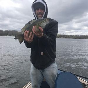 Meet your Posher, Jesse